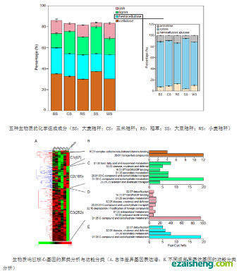 天津工生所在农业秸秆降解利用研究取得突破(图1)