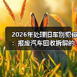 2026年处理旧车别犯傻:报废汽车回收拆解的门道(图4) 2026年处理旧车别犯傻:报废汽车回收拆解的门道(图4)