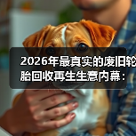 2026年最真实的废旧轮胎回收再生生意内幕:我从月亏2万到月入5万(图2) 2026年最真实的废旧轮胎回收再生生意内幕:我从月亏2万到月入5万(图2)