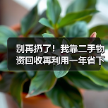 别再扔了！我靠二手物资回收再利用一年省下3万多（图1）