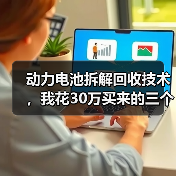 动力电池拆解回收技术,我花30万买来的三个教训(图2) 动力电池拆解回收技术,我花30万买来的三个教训(图2)