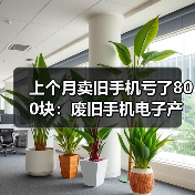 上个月卖旧手机亏了800块:废旧手机电子产品回收的3个残酷真相(图3) 上个月卖旧手机亏了800块:废旧手机电子产品回收的3个残酷真相(图3)