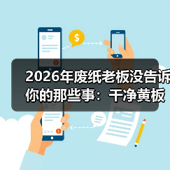2026年废纸老板没告诉你的那些事：干净黄板纸回收行情（图4）