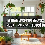废品站老板偷偷告诉我的事：2026年干净黄板纸回收行情（图1）