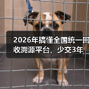 2026年搞懂全国统一回收溯源平台,少交3年“学费”(图4) 2026年搞懂全国统一回收溯源平台,少交3年“学费”(图4)
