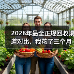 2026年最全正规回收渠道对比,我花了三个月实测(图2) 2026年最全正规回收渠道对比,我花了三个月实测(图2)