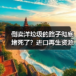倒卖洋垃圾的路子彻底堵死了？进口再生资源管控新规深度解读（图3）