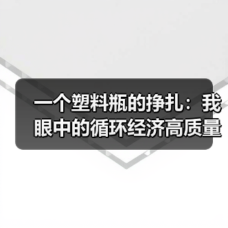 一个塑料瓶的挣扎：我眼中的循环经济高质量发展（图2）