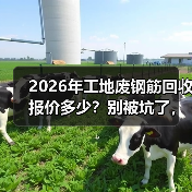 2026年工地废钢筋回收报价多少？别被坑了，我跑了3个回收站才搞明白（图3）