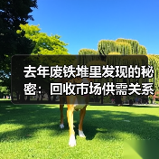 去年废铁堆里发现的秘密:回收市场供需关系(图3) 去年废铁堆里发现的秘密:回收市场供需关系(图3)