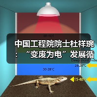 中国工程院院士杜祥琬:“变废为电”发展循环经济(图1) 中国工程院院士杜祥琬:“变废为电”发展循环经济(图1)