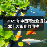 2025年中国再生资源行业十大影响力事件（图2）