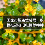 国家市场监管总局:积极推动老旧电梯等特种设备更新改造(图3) 国家市场监管总局:积极推动老旧电梯等特种设备更新改造(图3)