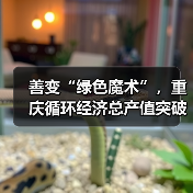 善变“绿色魔术”，重庆循环经济总产值突破1500亿｜活力中国调研行（图1）