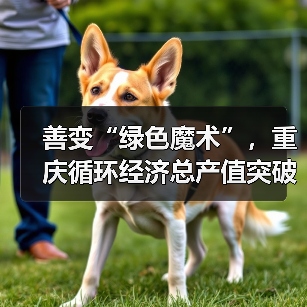 善变“绿色魔术”，重庆循环经济总产值突破1500亿｜活力中国调研行（图2）
