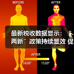 最新税收数据显示：“两新”政策持续显效 促进经济良性循环（图3）