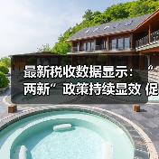 最新税收数据显示：“两新”政策持续显效 促进经济良性循环（图2）
