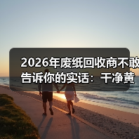 2026年废纸回收商不敢告诉你的实话：干净黄板纸回收行情（图4）