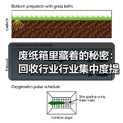 废纸箱里藏着的秘密:回收行业行业集中度提升正在悄悄改变游戏规则(图2) 废纸箱里藏着的秘密:回收行业行业集中度提升正在悄悄改变游戏规则(图2)