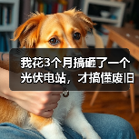 我花3个月搞砸了一个光伏电站，才搞懂废旧光伏组件回收的门道（图3）