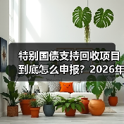 特别国债支持回收项目到底怎么申报?2026年实操复盘(图3) 特别国债支持回收项目到底怎么申报?2026年实操复盘(图3)