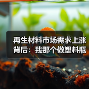 再生材料市场需求上涨背后：我那个做塑料瓶回收的哥们儿买了套房（图3）