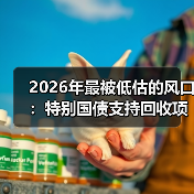 2026年最被低估的风口：特别国债支持回收项目到底怎么玩（图4）