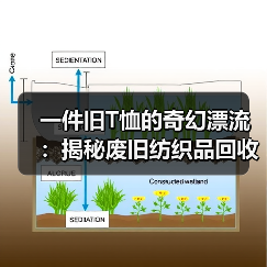 一件旧T恤的奇幻漂流：揭秘废旧纺织品回收再生的真实生意经（图4）