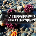 卖了个旧冰箱倒贴80块：社区上门回收服务的水到底多深？（图2）