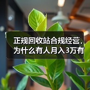 正规回收站合规经营，为什么有人月入3万有人被罚到关门？（图2）