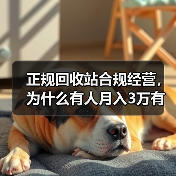 正规回收站合规经营，为什么有人月入3万有人被罚到关门？（图4）