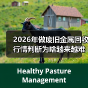 2026年做废旧金属回收行情判断为啥越来越难了（图4）