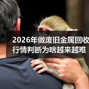 2026年做废旧金属回收行情判断为啥越来越难了（图3）